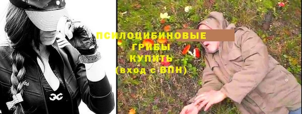 соль ск Бронницы
