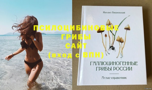 соль ск Бронницы