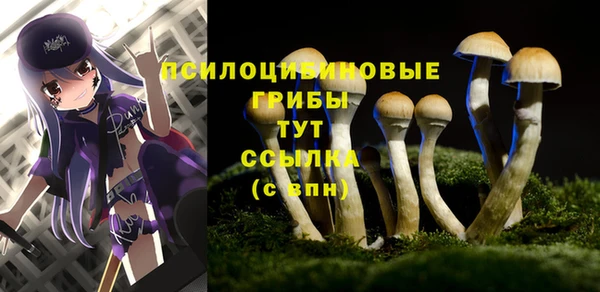 эйфоретик Бугульма