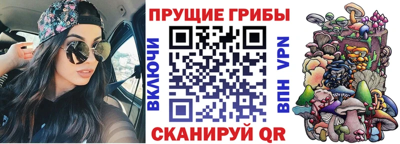 ОМГ ОМГ tor  Среднеуральск  Галлюциногенные грибы ЛСД 